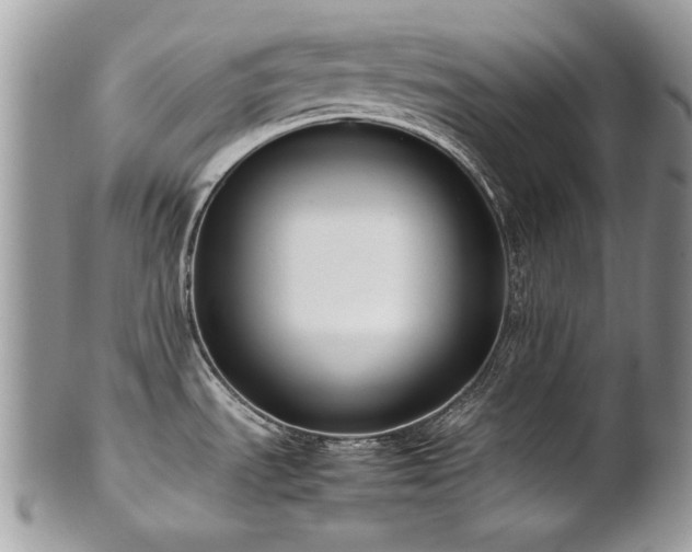 X0000102251535200807251310