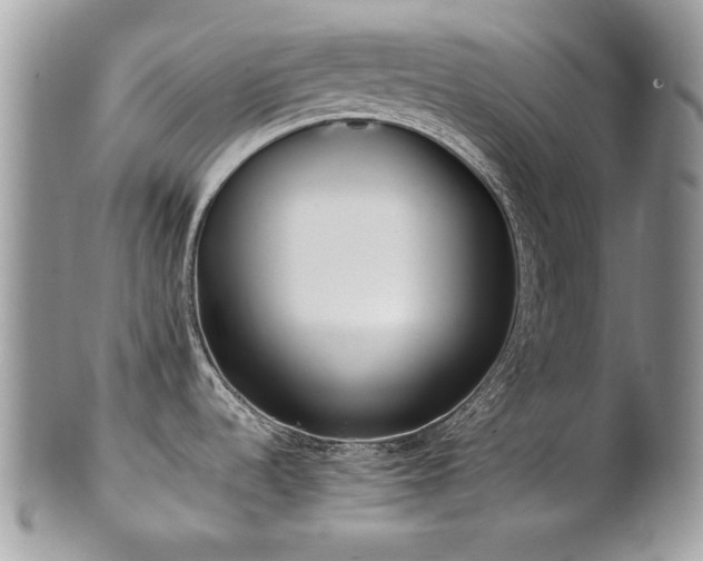 X0000102251536200807251310
