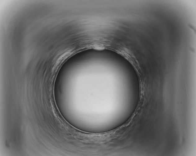 X0000102250001200808011321