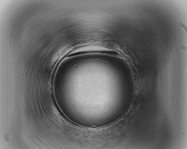 X0000102250002200808011321