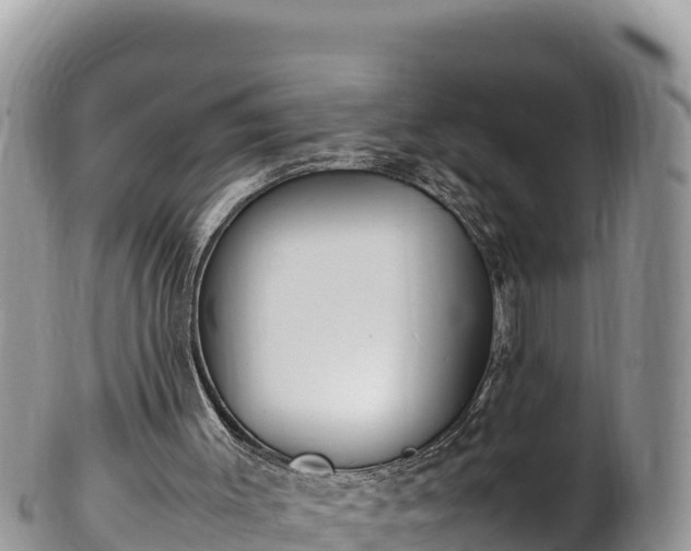 X0000102250003200808011321