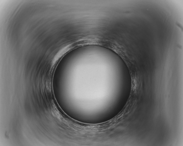 X0000102250004200808011321