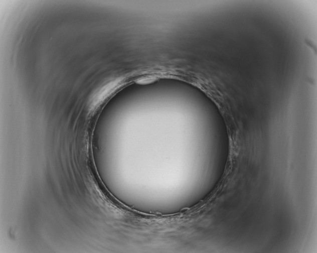 X0000102250005200808011321