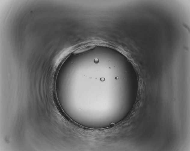 X0000102250007200808011321