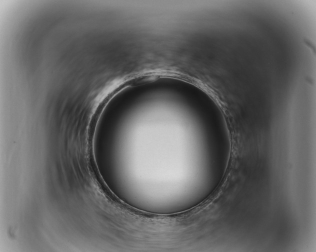 X0000102250008200808011321