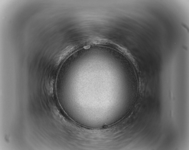 X0000102250010200808011321