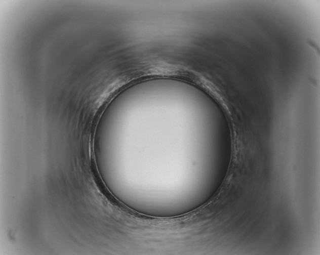 X0000102250011200808011321