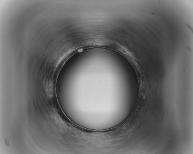 X0000102250012200808011321