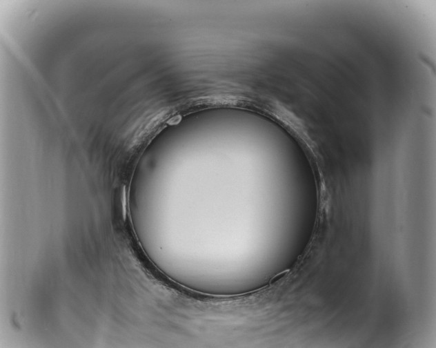 X0000102250013200808011321