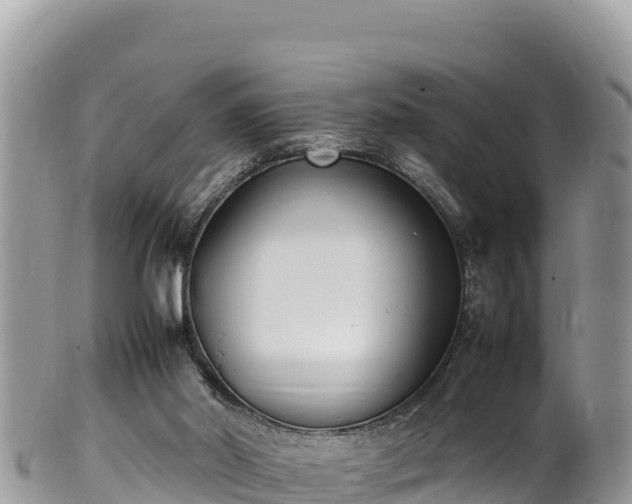 X0000102250014200808011321