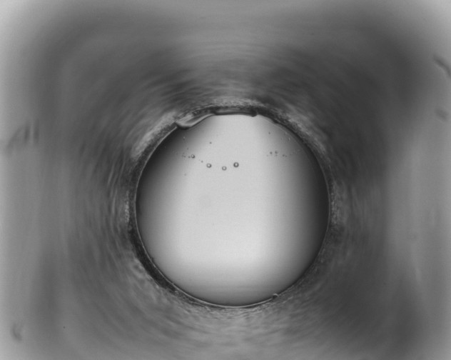 X0000102250015200808011321