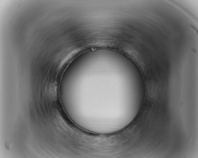 X0000102250016200808011321