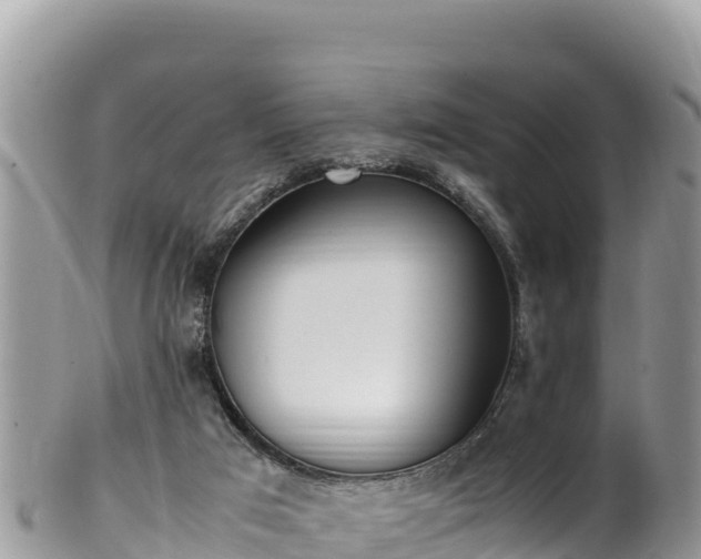 X0000102250017200808011321