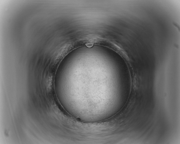 X0000102250018200808011321