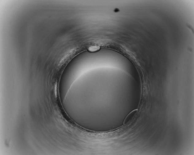 X0000102250019200808011321