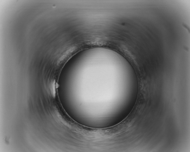 X0000102250020200808011321