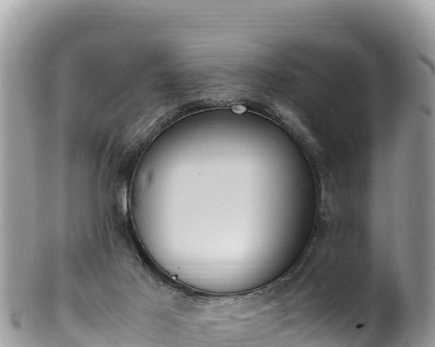 X0000102250021200808011321