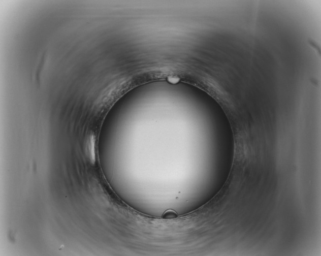 X0000102250022200808011321