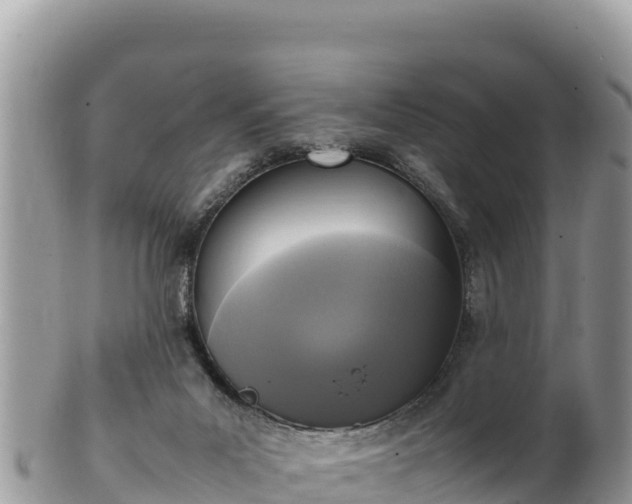 X0000102250023200808011321