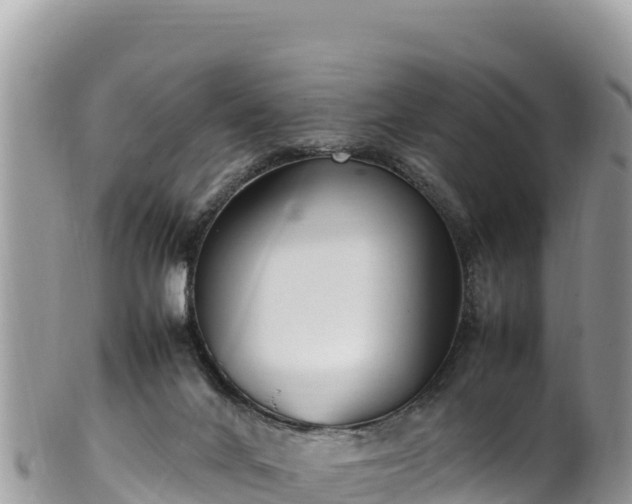 X0000102250024200808011321