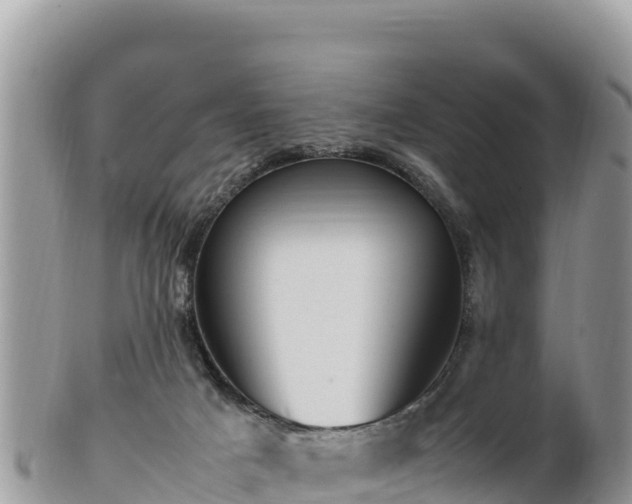 X0000102250025200808011321