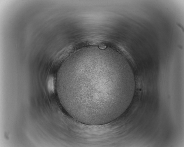 X0000102250026200808011321