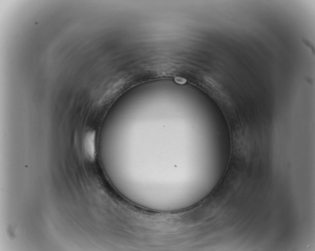 X0000102250028200808011321