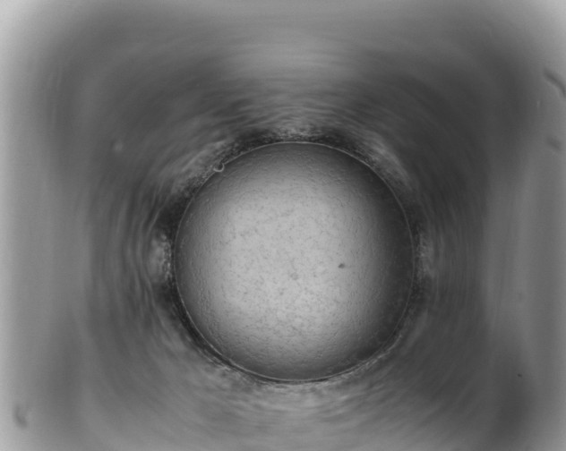 X0000102250029200808011321