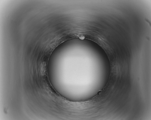 X0000102250030200808011321