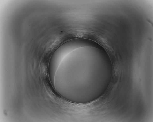 X0000102250031200808011321