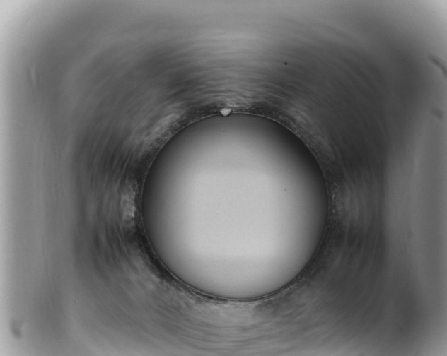 X0000102250032200808011321