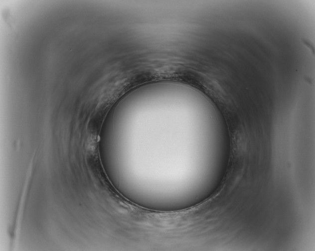 X0000102250033200808011321