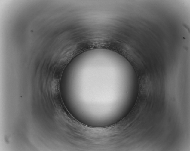 X0000102250034200808011321