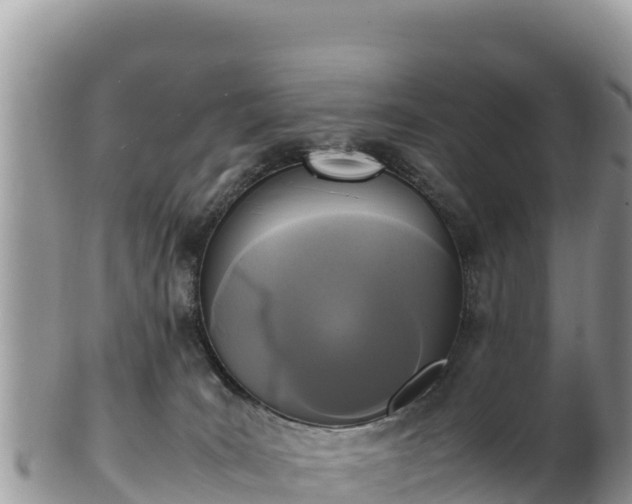 X0000102250035200808011321