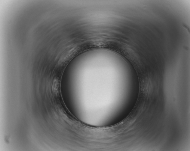 X0000102250036200808011321