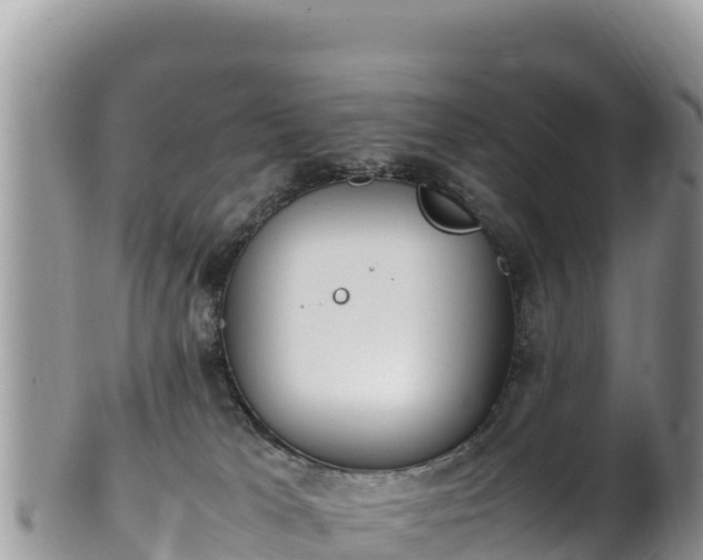 X0000102250037200808011321