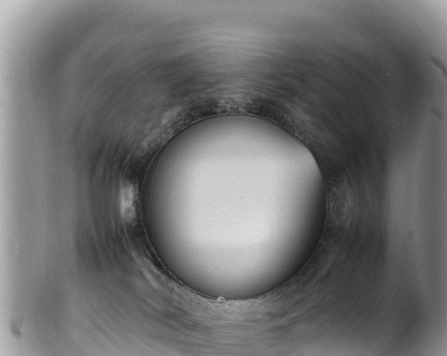 X0000102250038200808011321