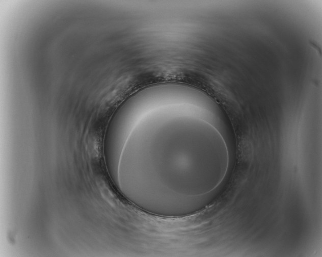 X0000102250039200808011321