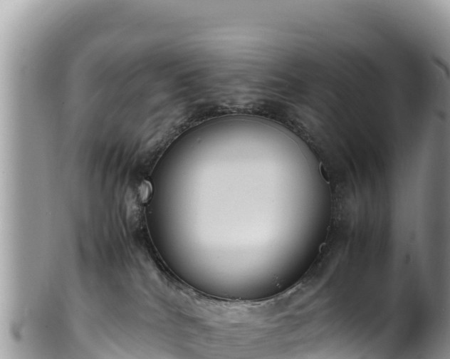 X0000102250040200808011321