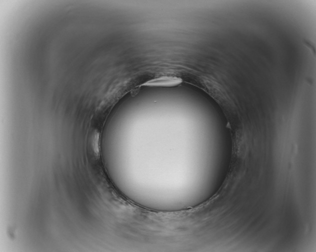 X0000102250041200808011321