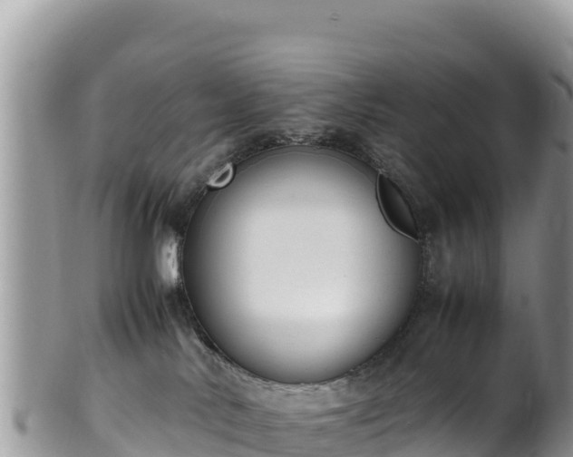 X0000102250042200808011321