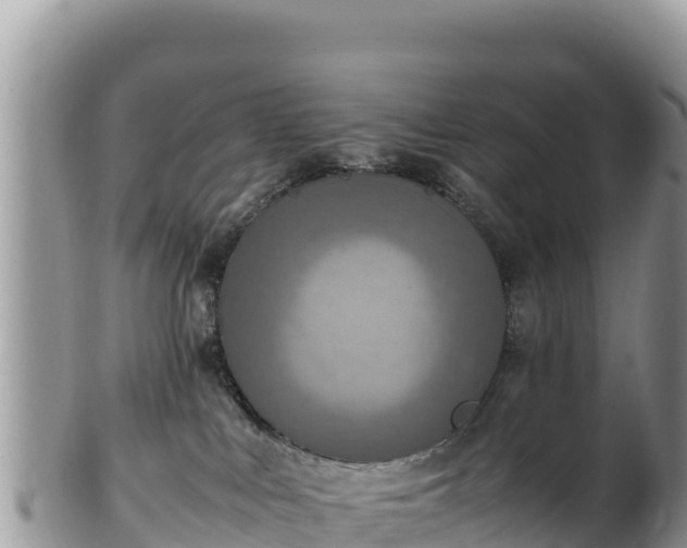 X0000102250043200808011321