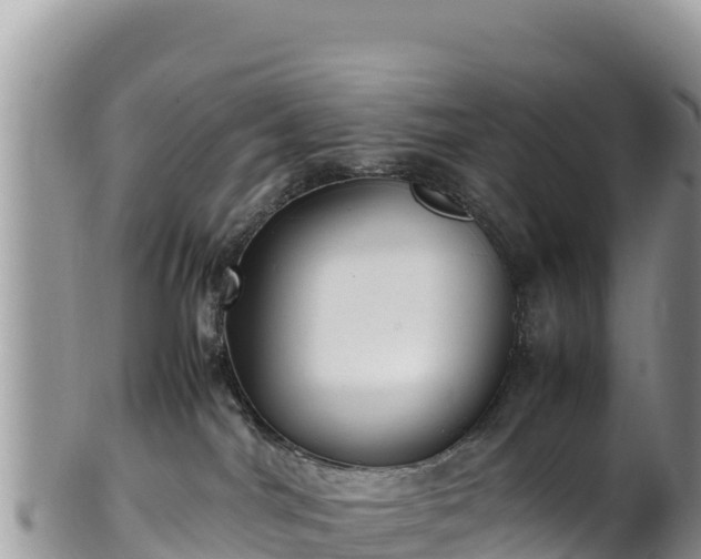 X0000102250044200808011321