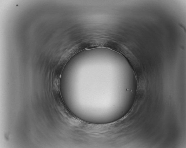 X0000102250045200808011321