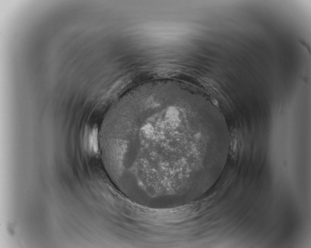 X0000102250046200808011321