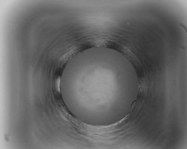 X0000102250047200808011321