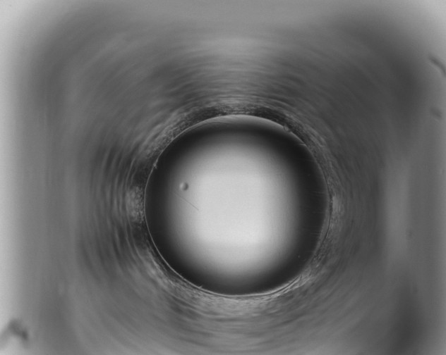 X0000102250048200808011321