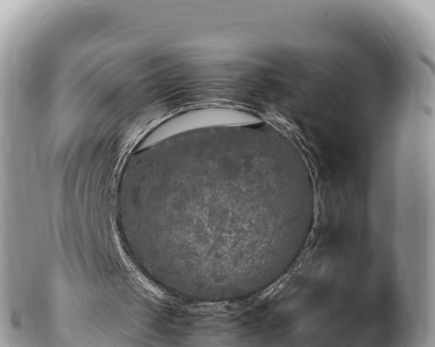 X0000102250049200808011320