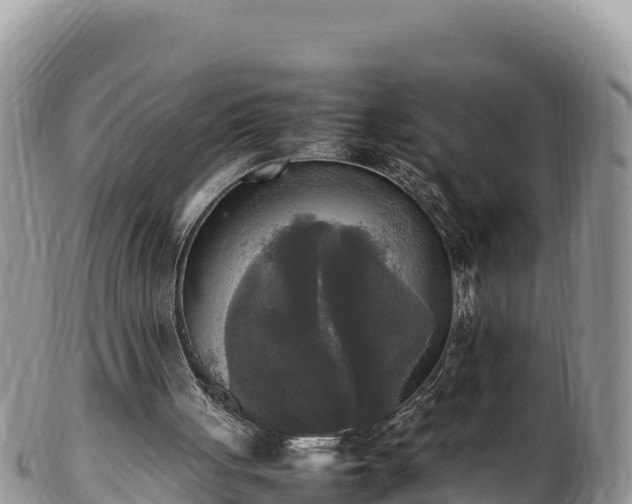 X0000102250051200808011320