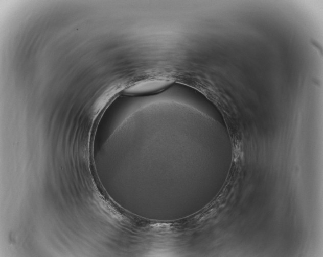 X0000102250052200808011320